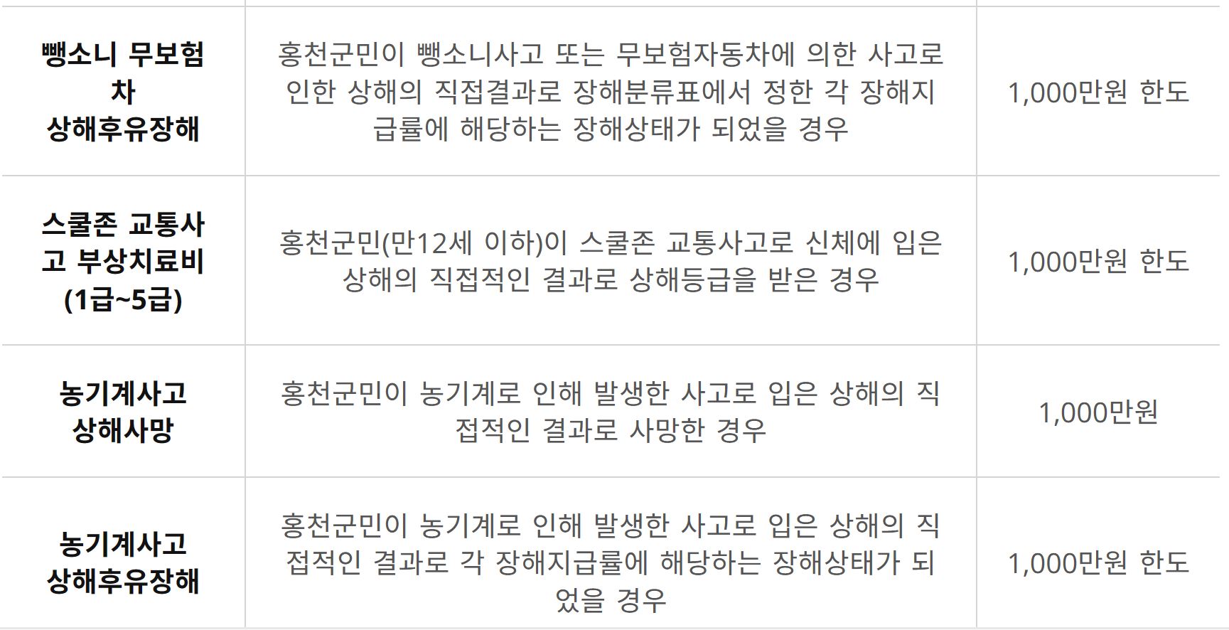 홍천군 군민안전보험