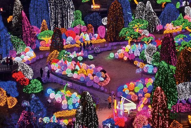 아침고요수목원 오색별빛정원전