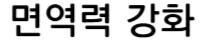 면역력강화