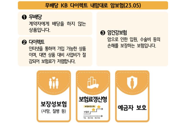 KB손해보험-내맘대로암보험-보장내용-정리화면