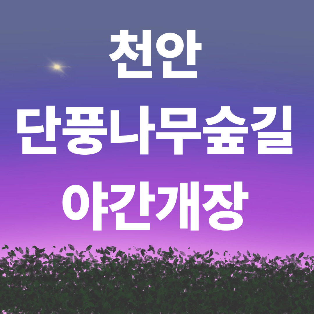 2025 단풍나무숲길 야간개장