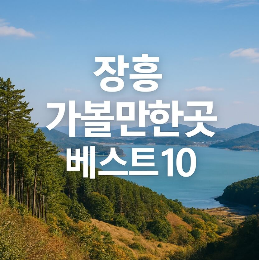 장흥 가볼만한곳 베스트10