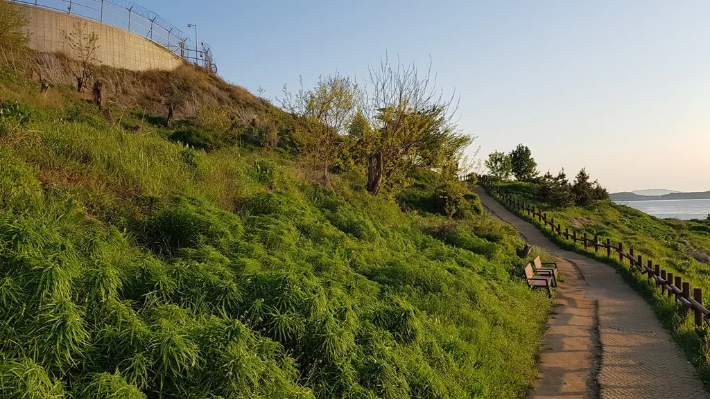 마을 주민들께서 힘을 모아 직접 개척하신 예단포 둘레길 전경.