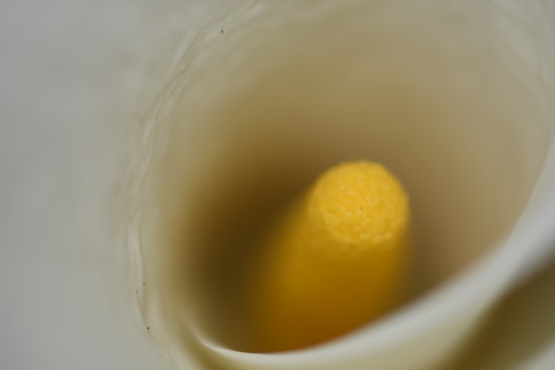 Steamed egg.