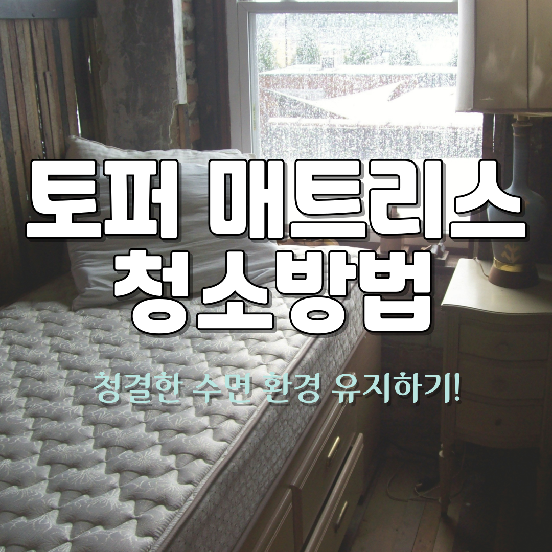 토퍼매트리스 청소 대표사진