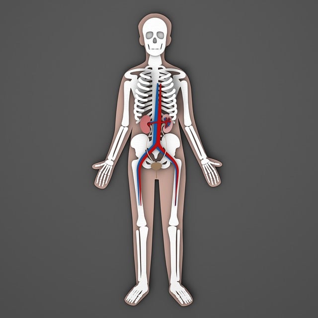 이뇨 작용에 관한 사진
