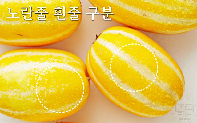 참외 맛있는거 고르는법, 흰색줄 노란줄, 팁줌