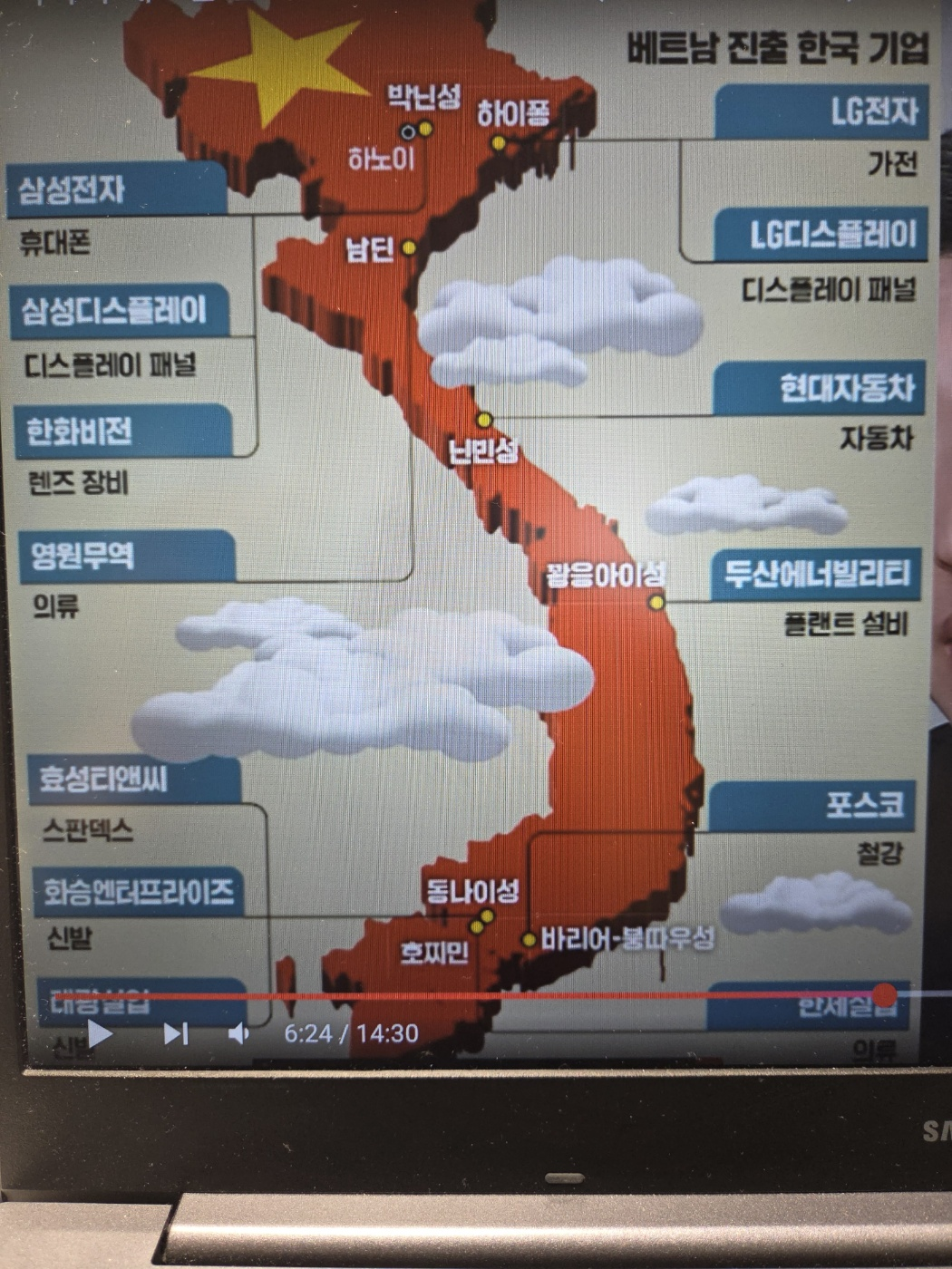 베트남 진출 국내기업