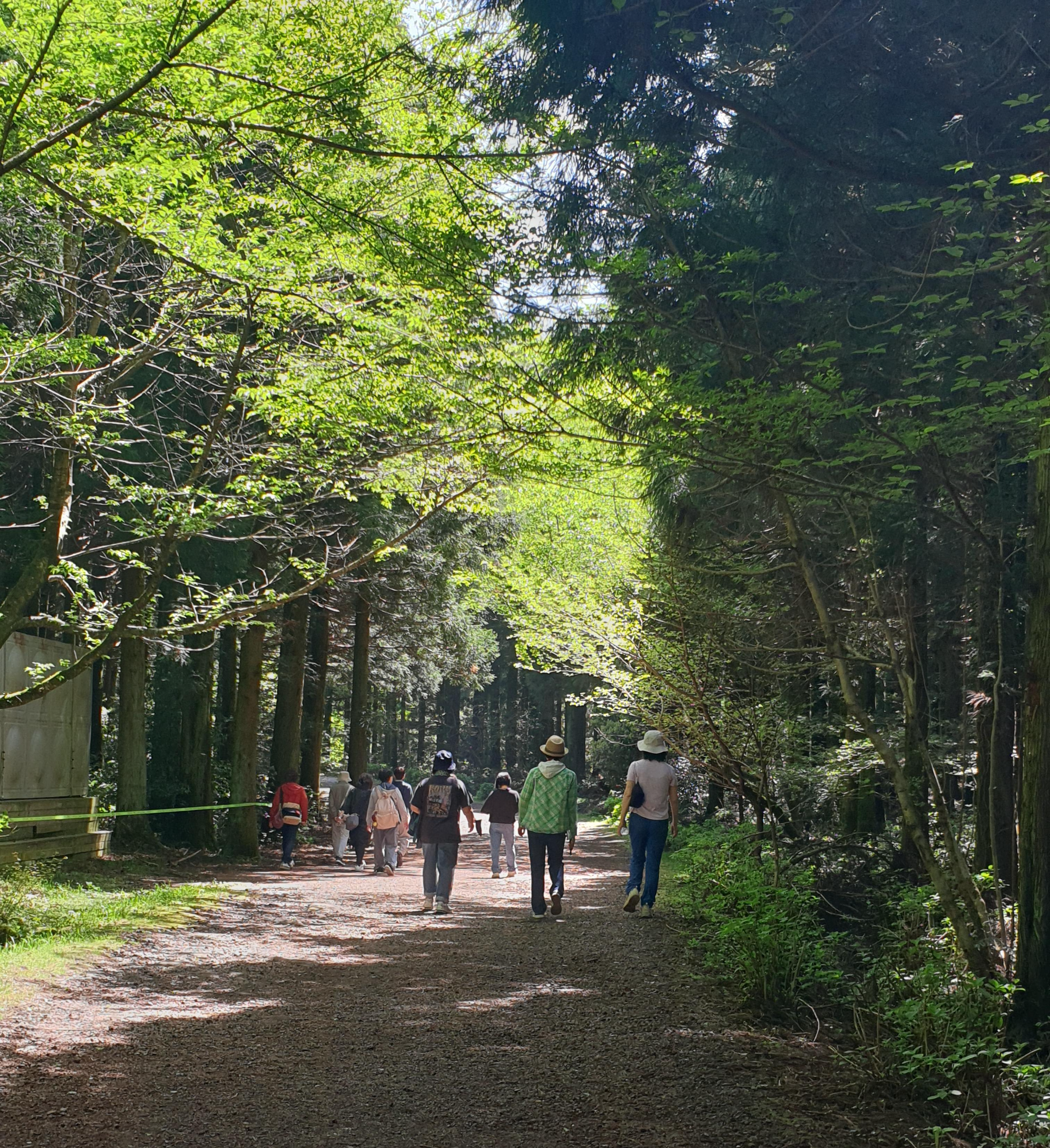 5월 공휴일로 떠나는 황금연휴 계획/ 사려니 숲