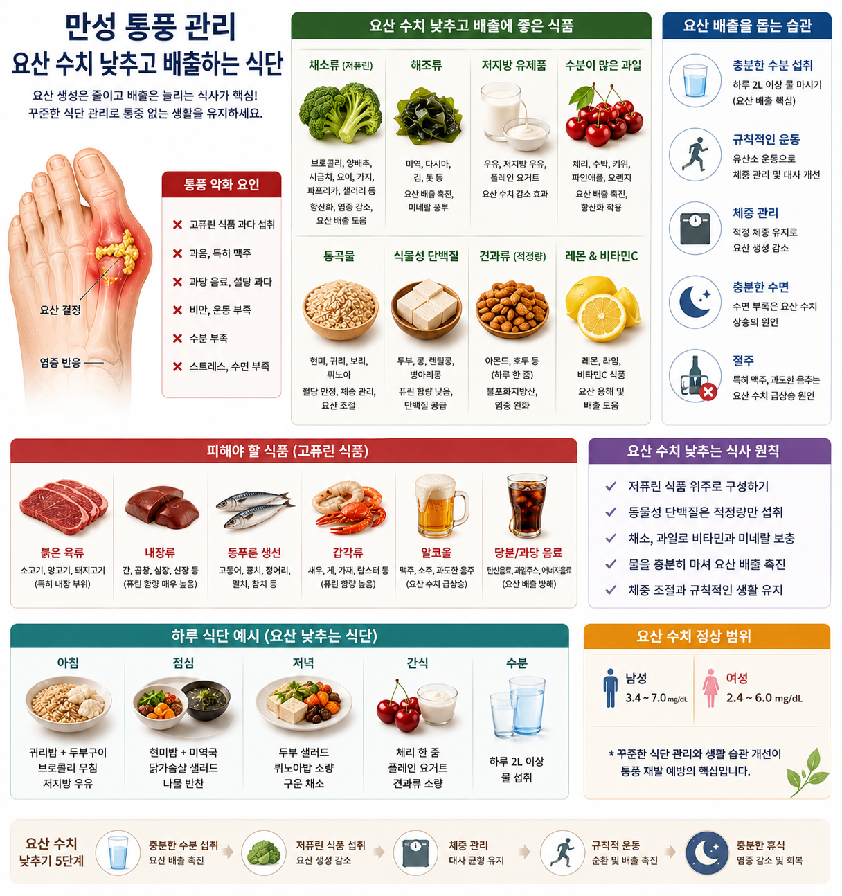 만성 통풍 요산 수치 낮추는 배출 식단