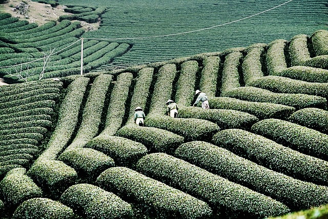 2024년 기본형 공익직불금 신청방법