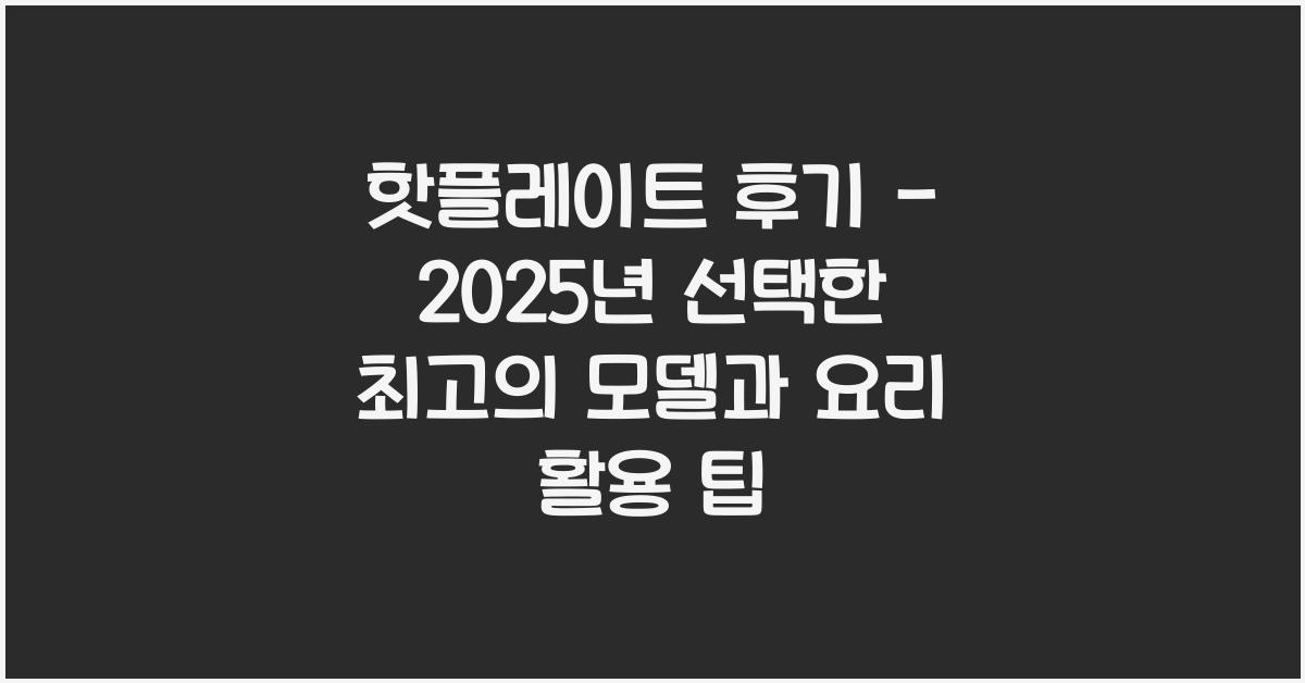 핫플레이트 후기