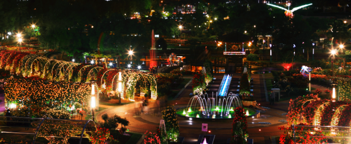 2024년-곡성-세계장미축제