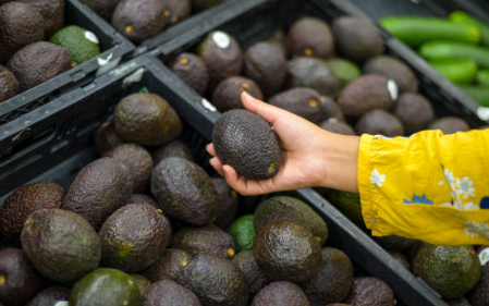 아보카도 효능, 부작용, 먹는 방법 총정리 (2024ver)