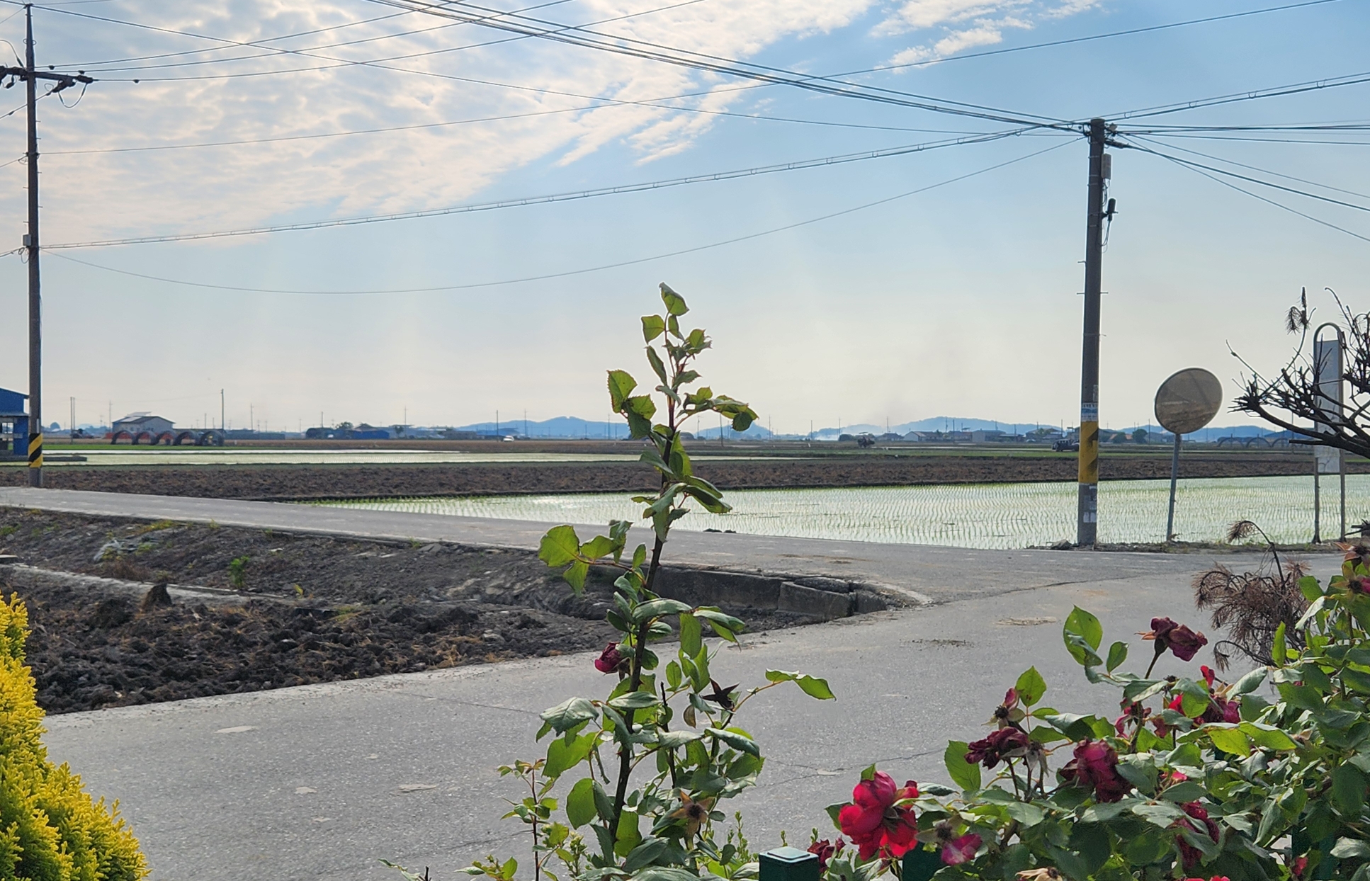 마을 길을 보여주는 이미지