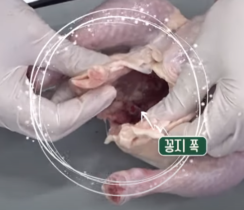 편스토랑 류수영 삼계탕 백숙 재료 준비5