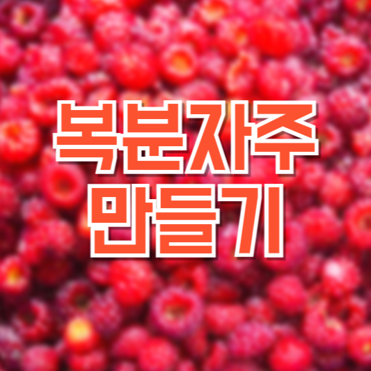 복분자주 만들기, 보관은 어떻게 해야!?