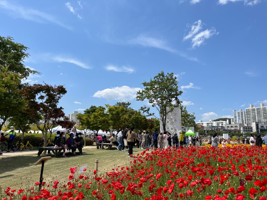 울산-태화강국가정원의-봄꽃축제