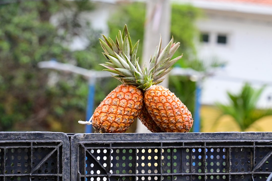 Bromelain