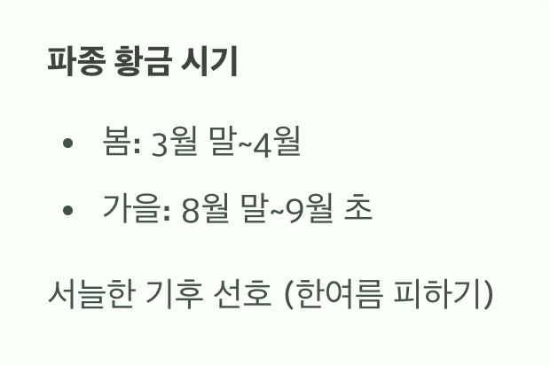 씨앗 뿌리기, 딱 좋은 시기는?