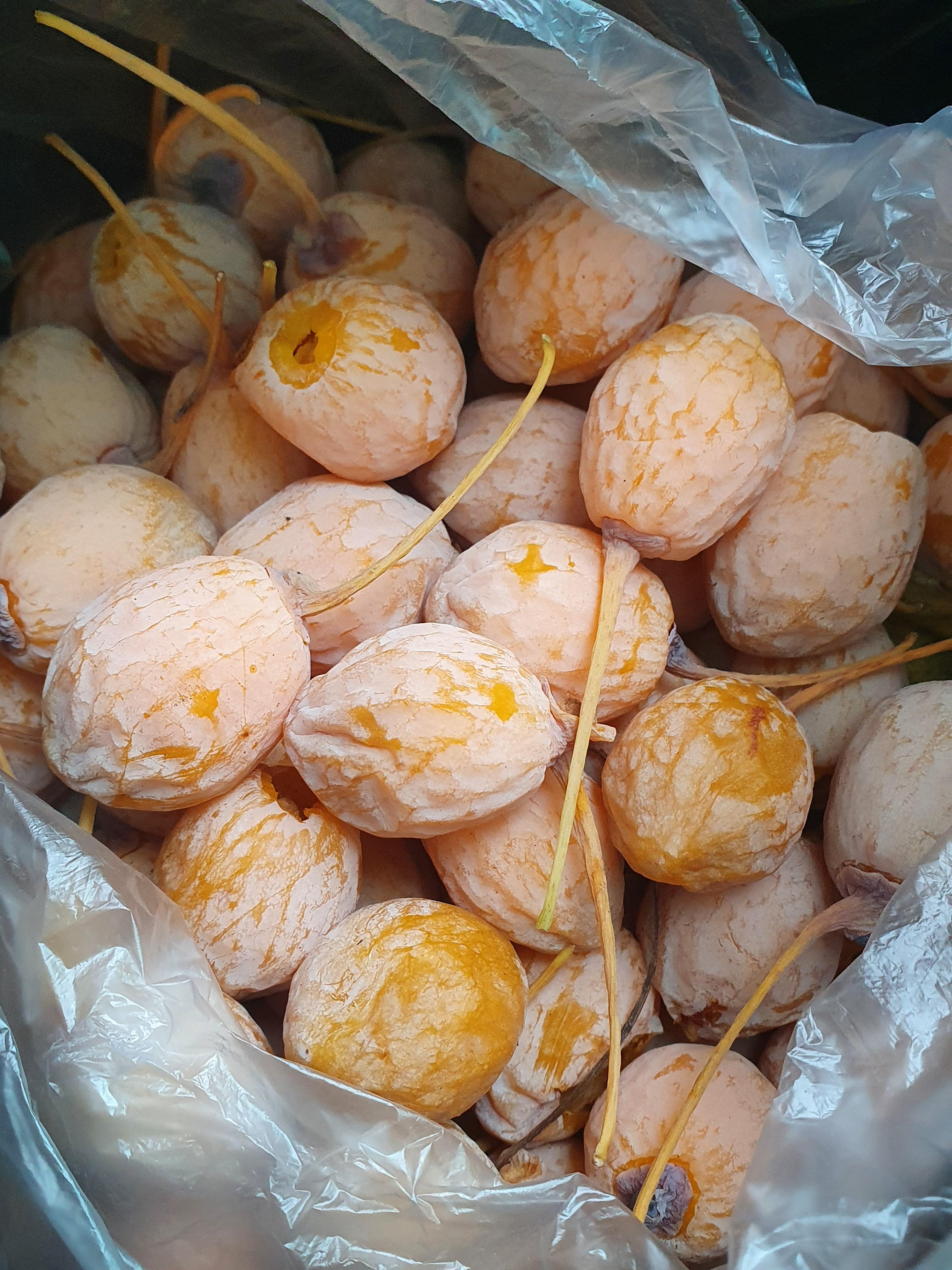 바람에 떨어진 은행 열매