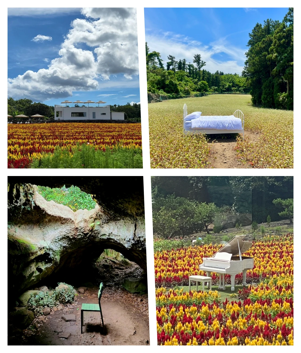 제주도-인생샷-비케이브-의자동굴