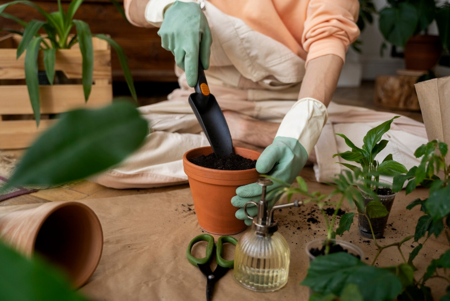 도심 속에서 찾는 슬로우 라이프 실천법