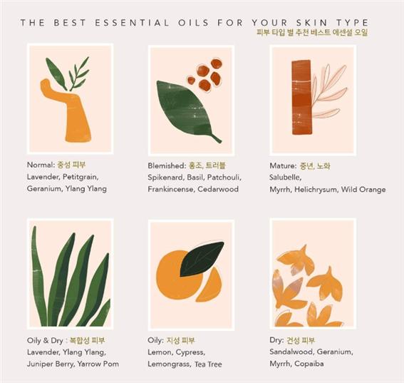 도테라 제공 피부 타입 별 추천 베스트 에센셜 오일 이미지