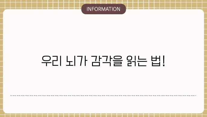 감각 피질 (Sensory Cortex)
