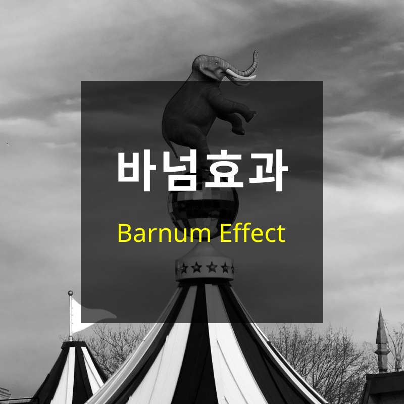 바넘 효과