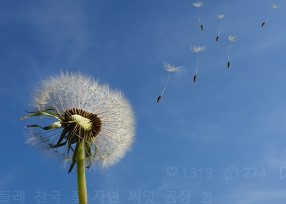 이명 소리 종류