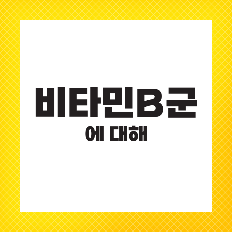 비타민 B 효능 하루 권장량 영양제 복용법