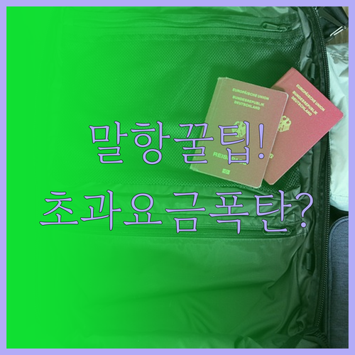 말레이시아 항공 위탁수하물 규정 및 ..