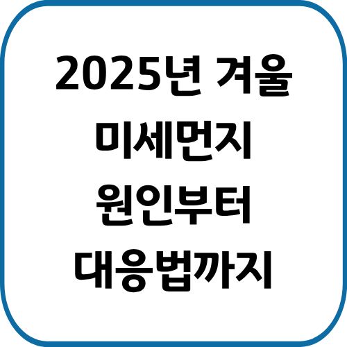 2025년 겨울 미세먼지 심한 원인부터 대응법까지 알아봅니다
