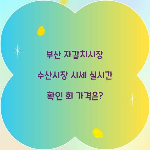 부산 자갈치시장 수산시장 시세 실시간 확인