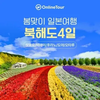 북해도 후라노 라벤더 축제 시즌 개화 시기 이벤트 일정 대표 명소 여행 완벽 가이드_9