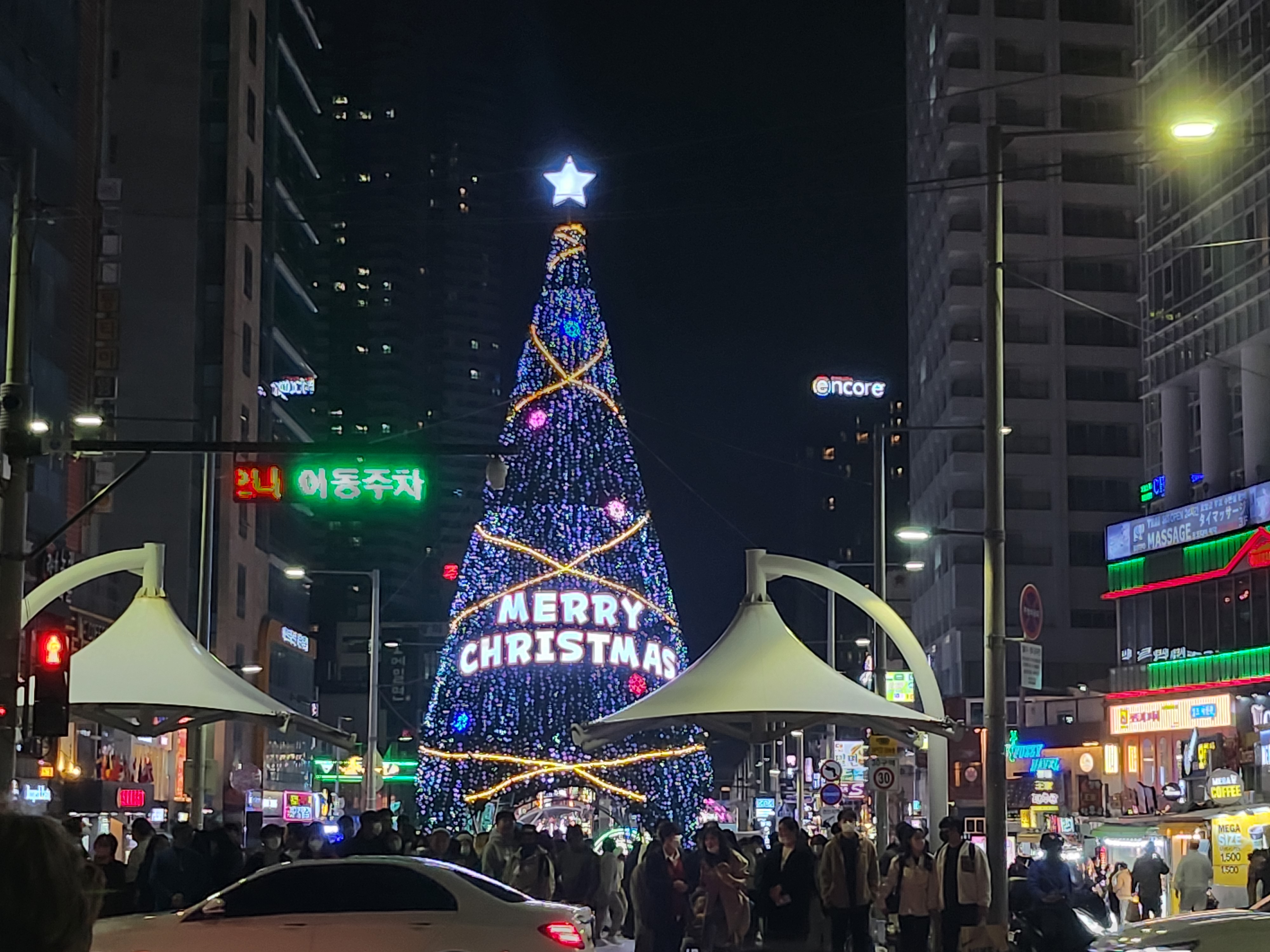 해운대해수욕장-앞-대형트리