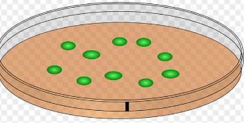 벽지 곰팡이 제거 방법 예방 꿀팁 총 정리