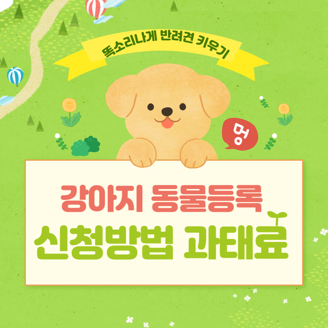 강아지 동물등록방법 과태료 변경방법
