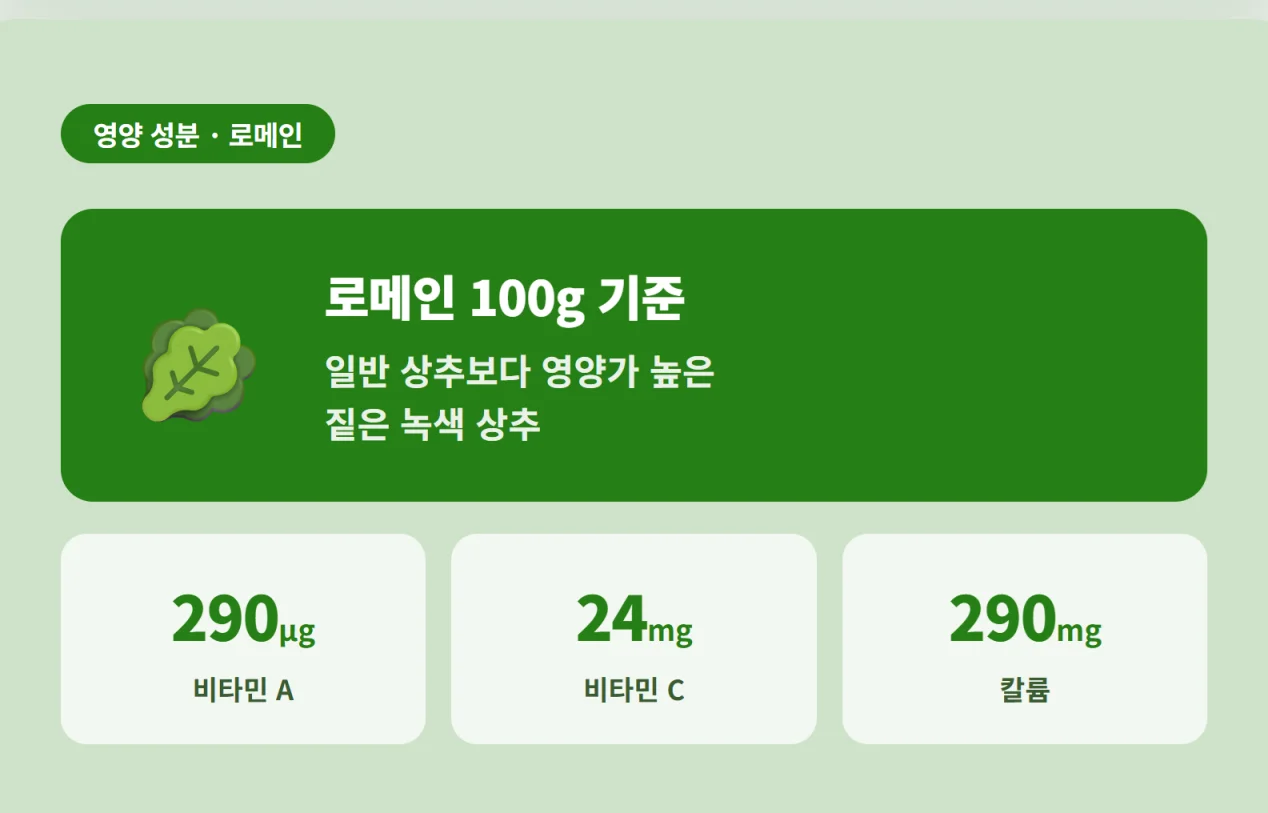 "로메인 100g 기준 비타민 A 290마이크로그램, 비타민 C 24밀리그램, 칼륨 290밀리그램 영양 성분표"