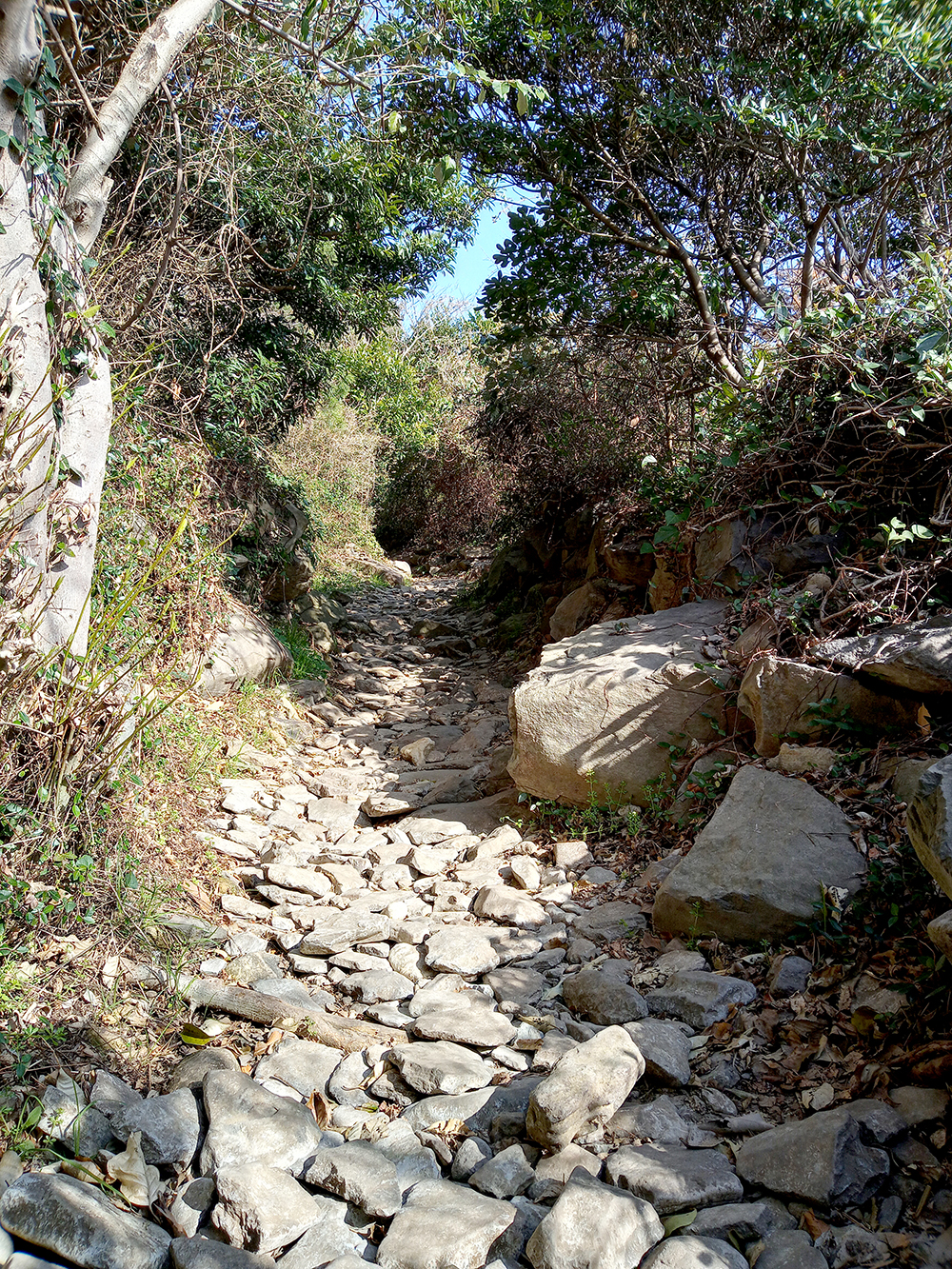 올레9코스: 속골