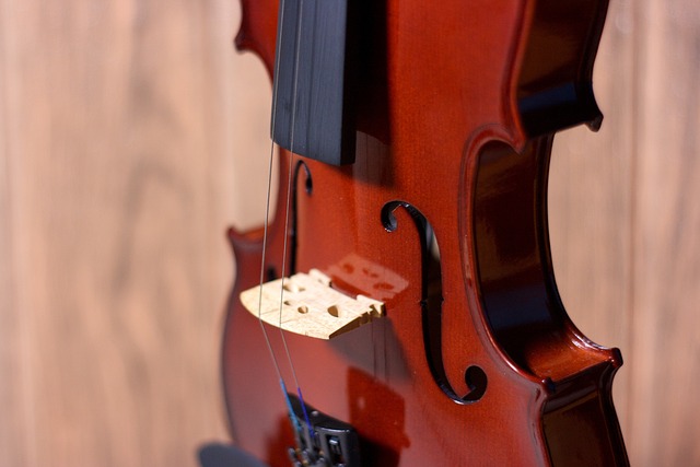 보청기-무료체험