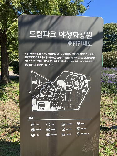 드림파크 종합안내도