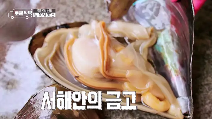 로컬식탁 보령 남희석 함께한 키조개 샤부샤부, 키조개 회무침, 키조개 레몬버터구이 보령 키조개 한 상 맛집 위치 어디