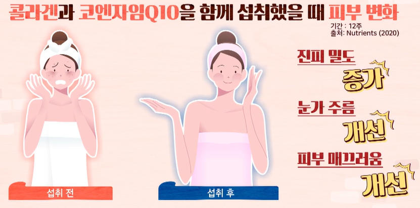 코엔자임큐텐의 효능