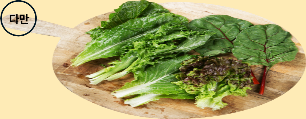 접시에-담겨있는-상추