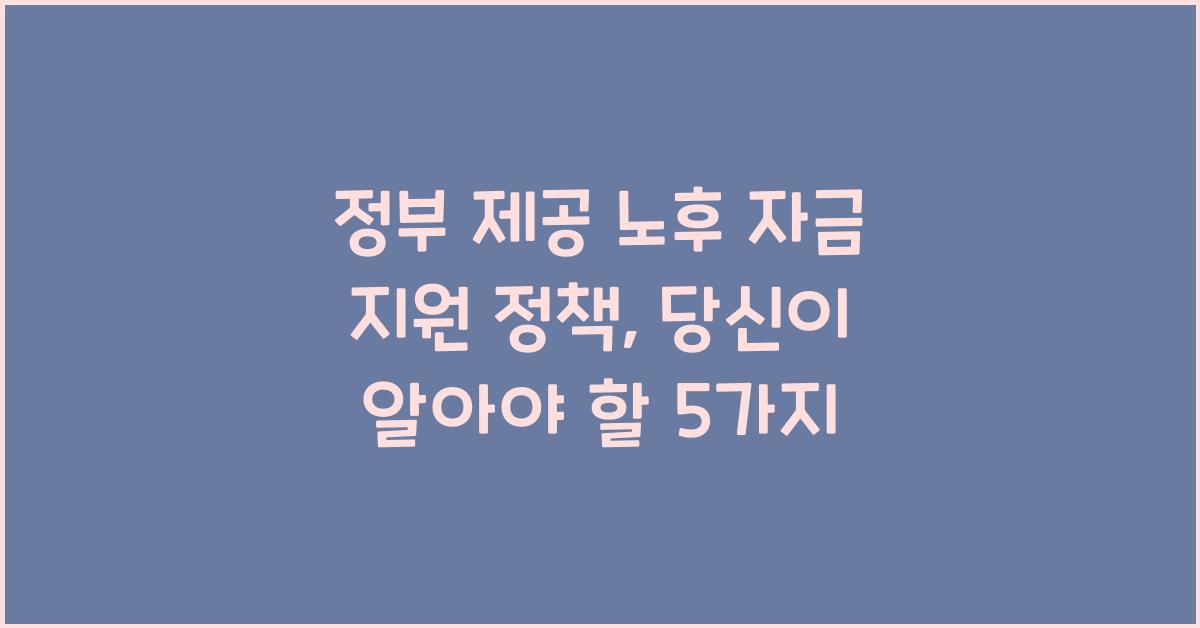 정부 제공 노후 자금 지원 정책