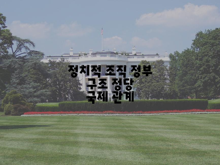 정치적 조직 정부 구조 정당 국제 관계