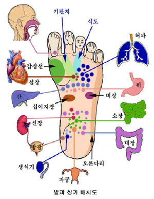 KBS 생로병사의 비밀 맨발 걷기 효능과 부작용