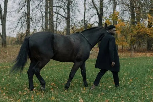 말꿈 해몽, 말나오는 태몽 해석